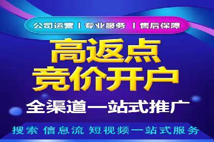 不同预算下的百度推广：案例分析与费用解析